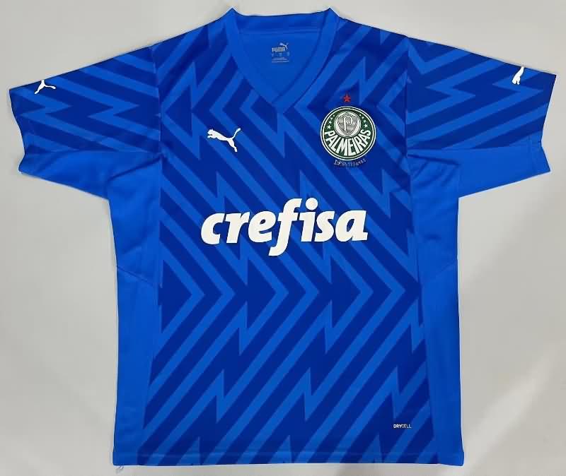 AAA(Thailand) Palmeiras 2024 Goalkeeper Blue Soccer Jersey