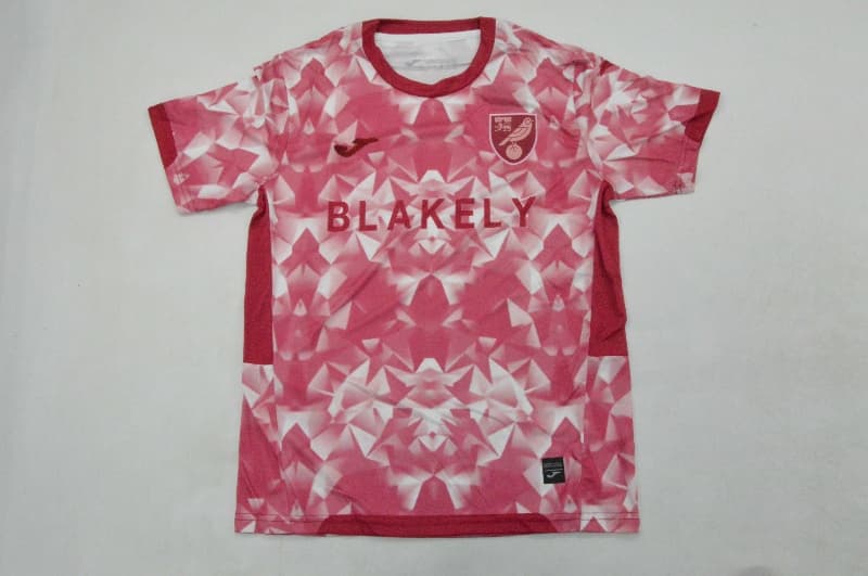 AAA(Thailand) Norwich 25/26 Third Soccer Jersey