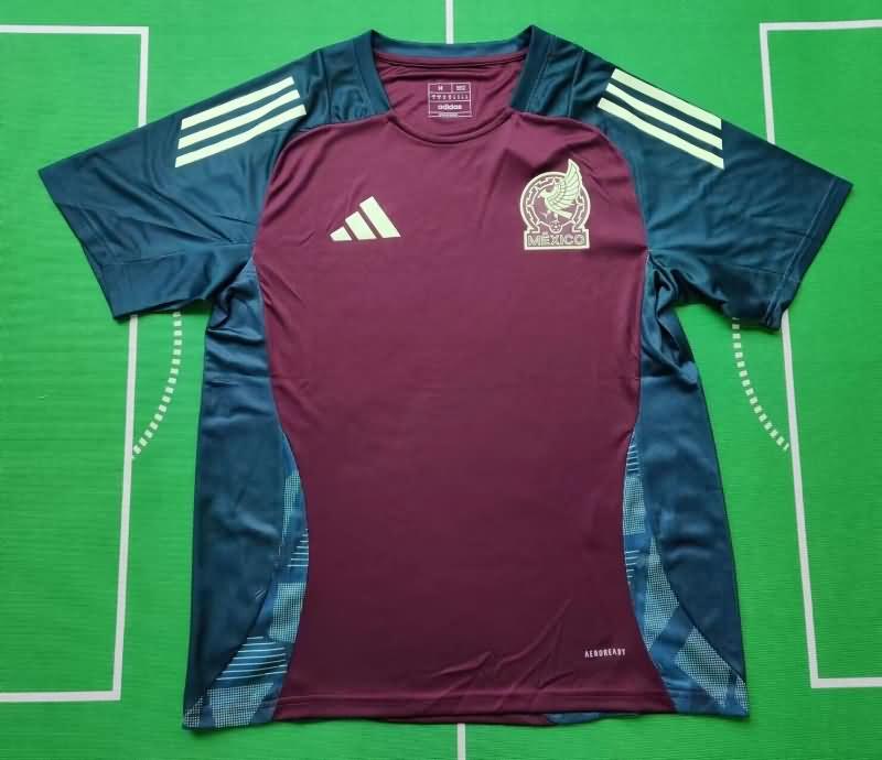 AAA(Thailand) Mexico 2024 Training Soccer Jersey 02